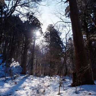 もう少しで大神山神社様⛩️