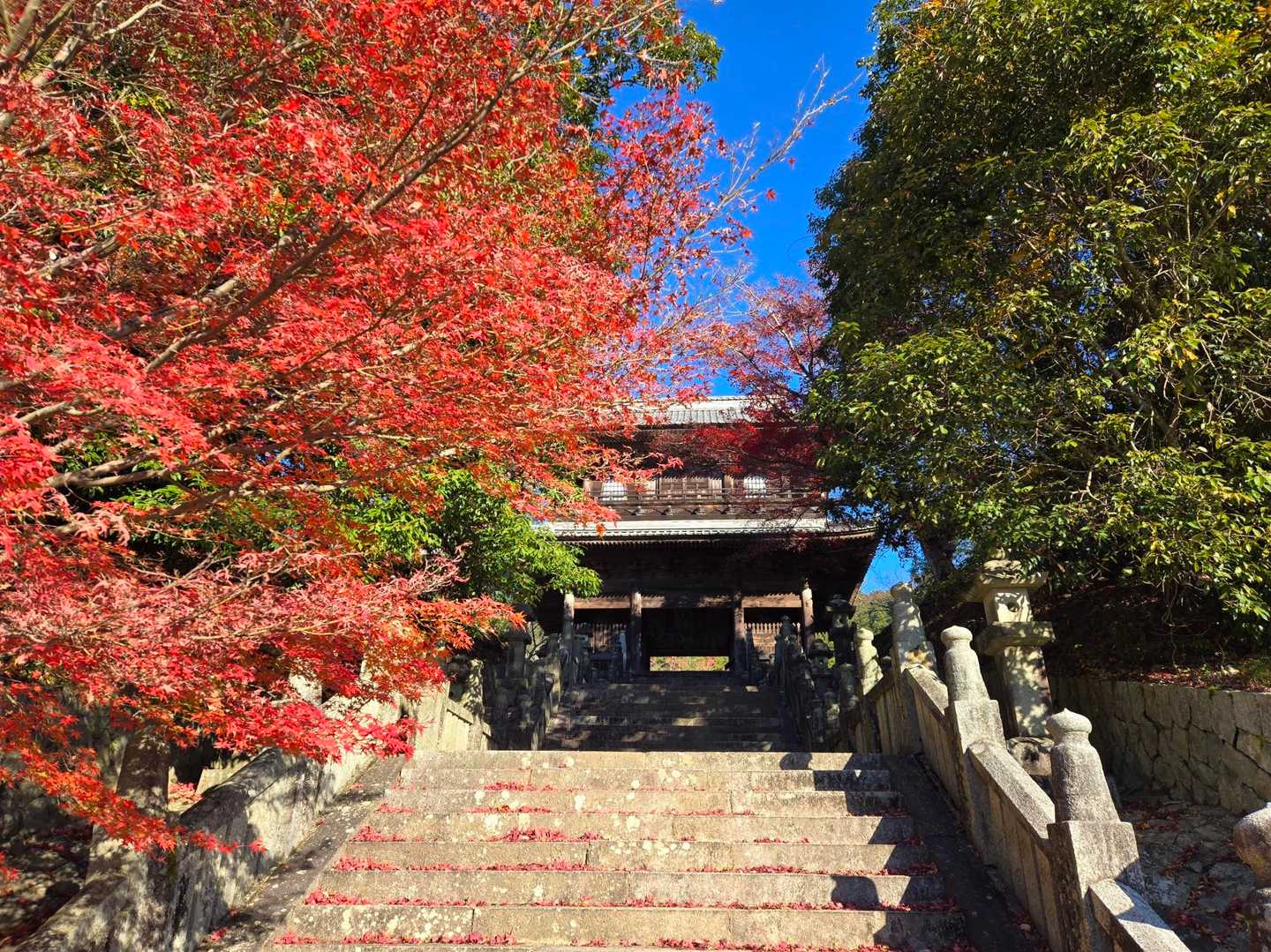ここの紅葉も終わりかけでしたが紅葉越しに仁王門…風情があって良いですねぇ😗👍✨️