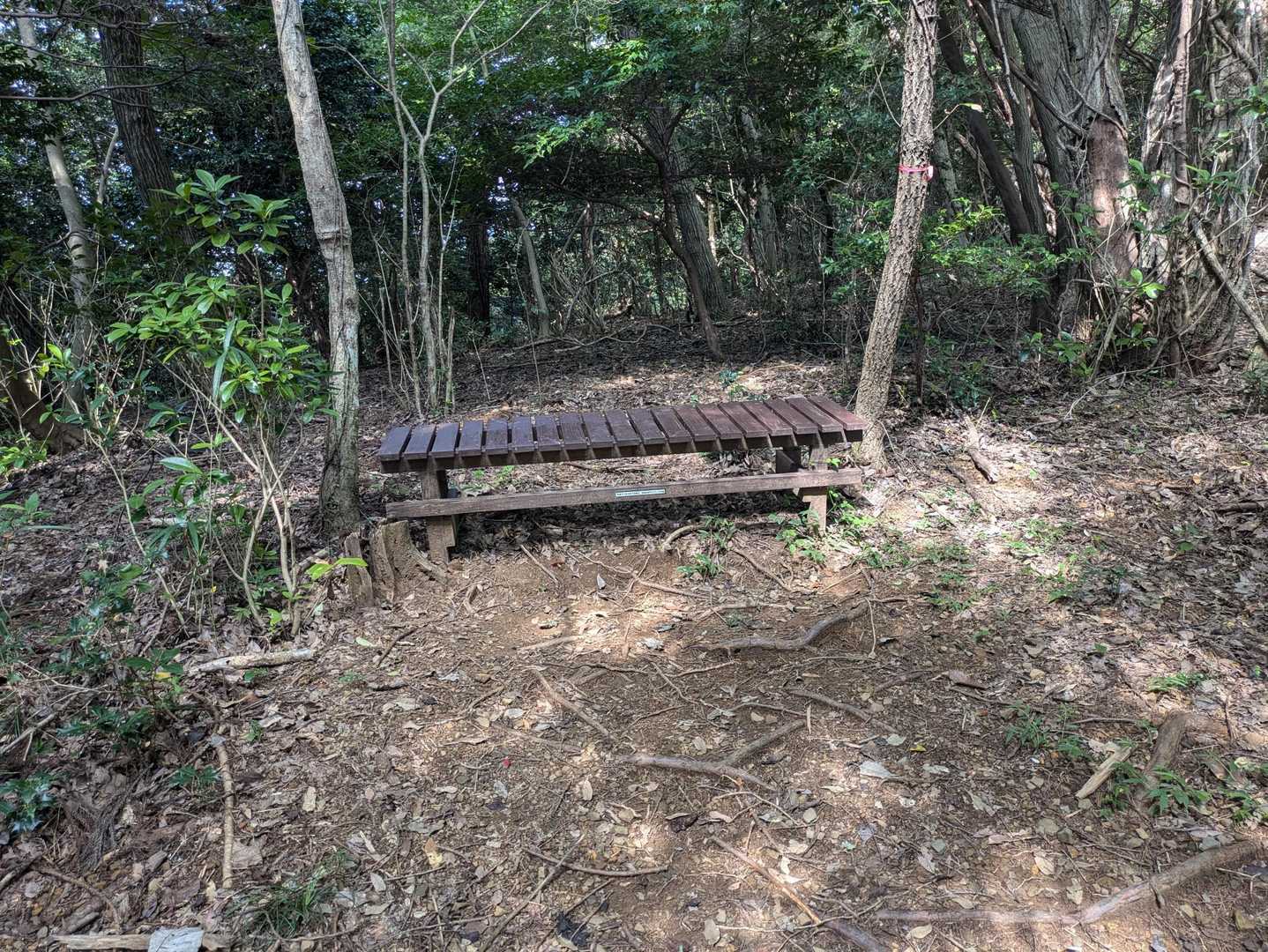 喉乾いてひと休憩🧃