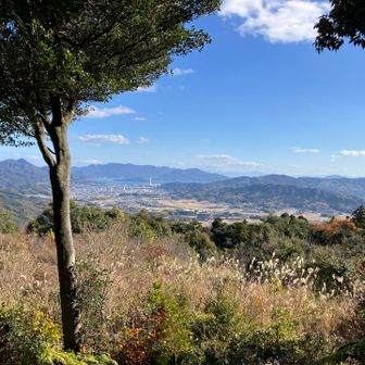 東南に開けた眺望
柳井市・笠佐島・周防大島を望む