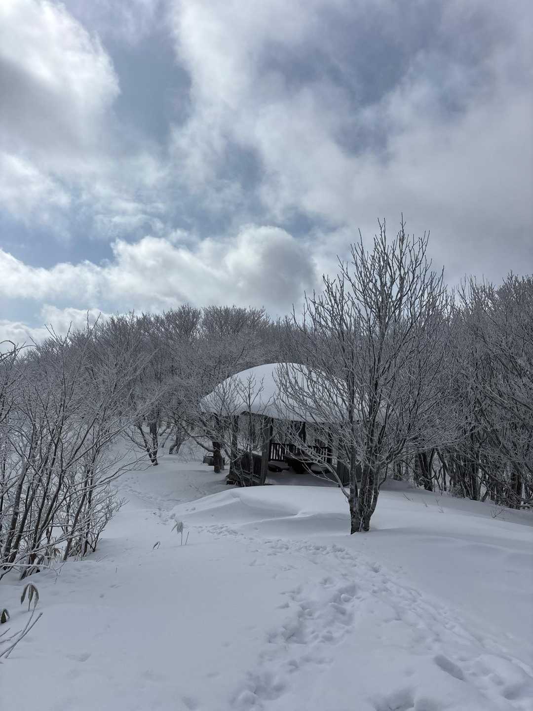 スノーシューであっという間に山頂！
山頂は、雪だらけでした。
当たり前か！笑