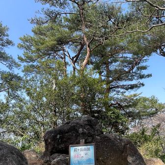 お手軽なお山で良き〜
大分市でいちばん高い山だって！