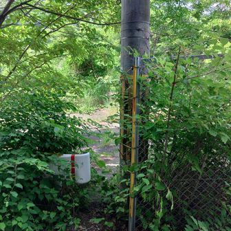 登山あるある：こんな隙間が山道への入口

いや、これは分からんでしょうｗ