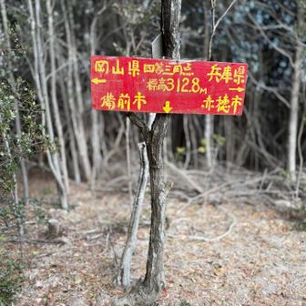 
　…こういうのを見つけると
　
　なんとなく 右に左にと
　ウロウロしたくなる    ((°=°  ≡   °¥°)) < ﾍﾍﾍ
