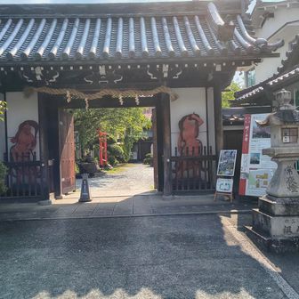 天武天皇創建の修験道場の櫻本坊。
境内の枝垂れ桜が有名だとか。