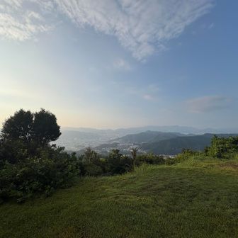 今日もいい天気になりそう。