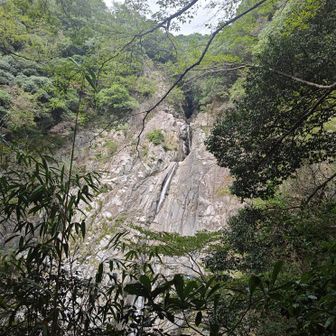 布引の滝「雄滝」
布引の滝は、雄滝、雌滝、夫婦滝、鼓ヶ滝の四つの滝の総称でした❗
日本三大神滝(和歌山の那智の滝、栃木の華厳の滝)の一つとは知らなかった😅
中でも「雄滝」は全長43㍍…
水量が多ければ結構迫力ある滝が間近で見れるので、この日も新神戸駅から徒歩でたくさんの人が歩いて見にきてました！