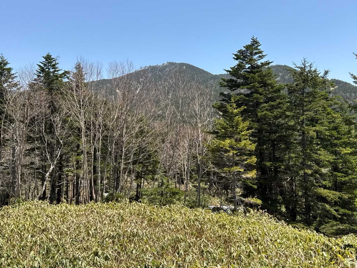 安平路山