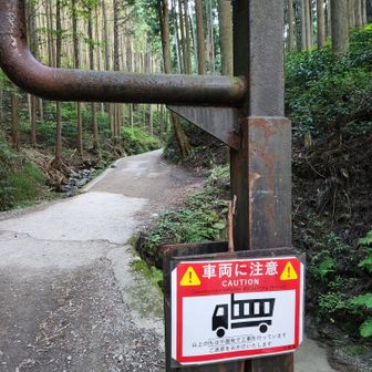 百ヶ辻登山にて
皆さん 健脚です
途中  神戸から
ミャクミャクを観に来られた女性と一緒に ちはや園地に