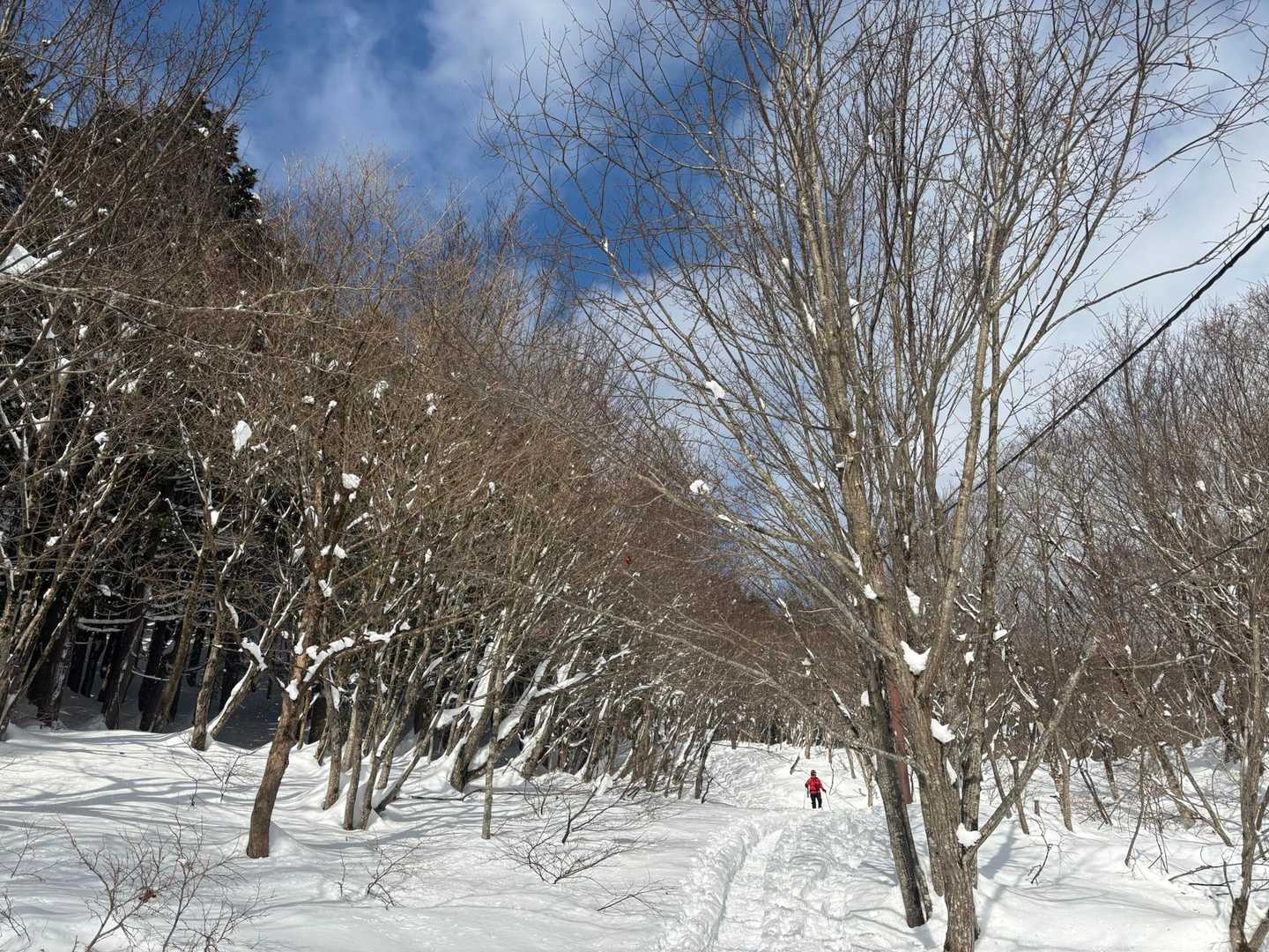 人形峠-大畝山 往復コースの写真