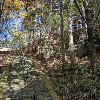 少し下の場所にベンチが沢山ありトイレも有りました
（トイレットペーパーがあって助かりました）
私達はベンチにリュックを置いて太神山（たなかみやま）へ登って来ました