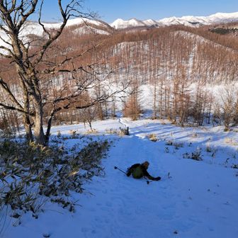 転んだのではありません
尻滑りを勧めたら…スノーシューが邪魔で背中滑り👍