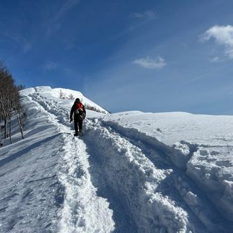 ユーザーsuperpino28