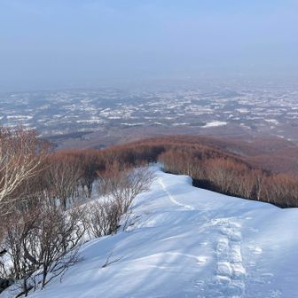 もうすぐ樹林帯
本日見納めの景色
立ち止まる回数が増える…