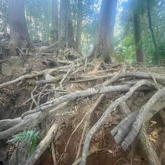いきなりですが四つ足で登りました💦ちょっとわかりにくいかんじなところでした。