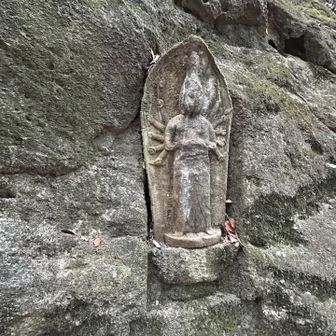 これ見たかったから🙏