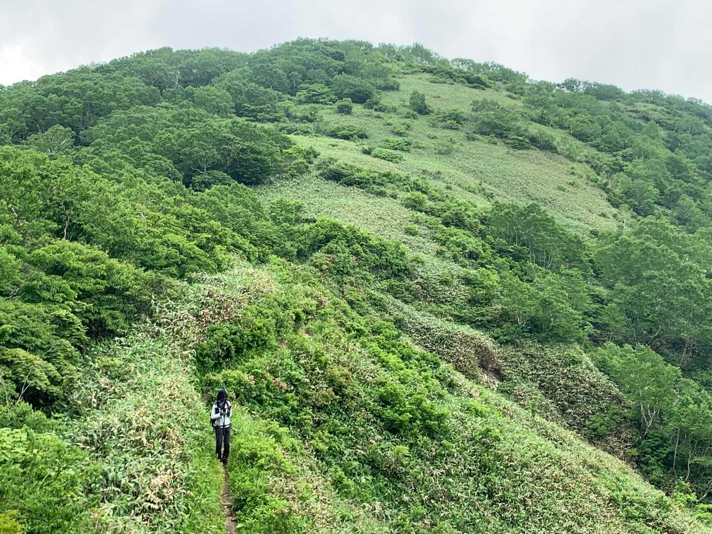 三国峠-三国山-三角山-大源太山 周回コースの写真