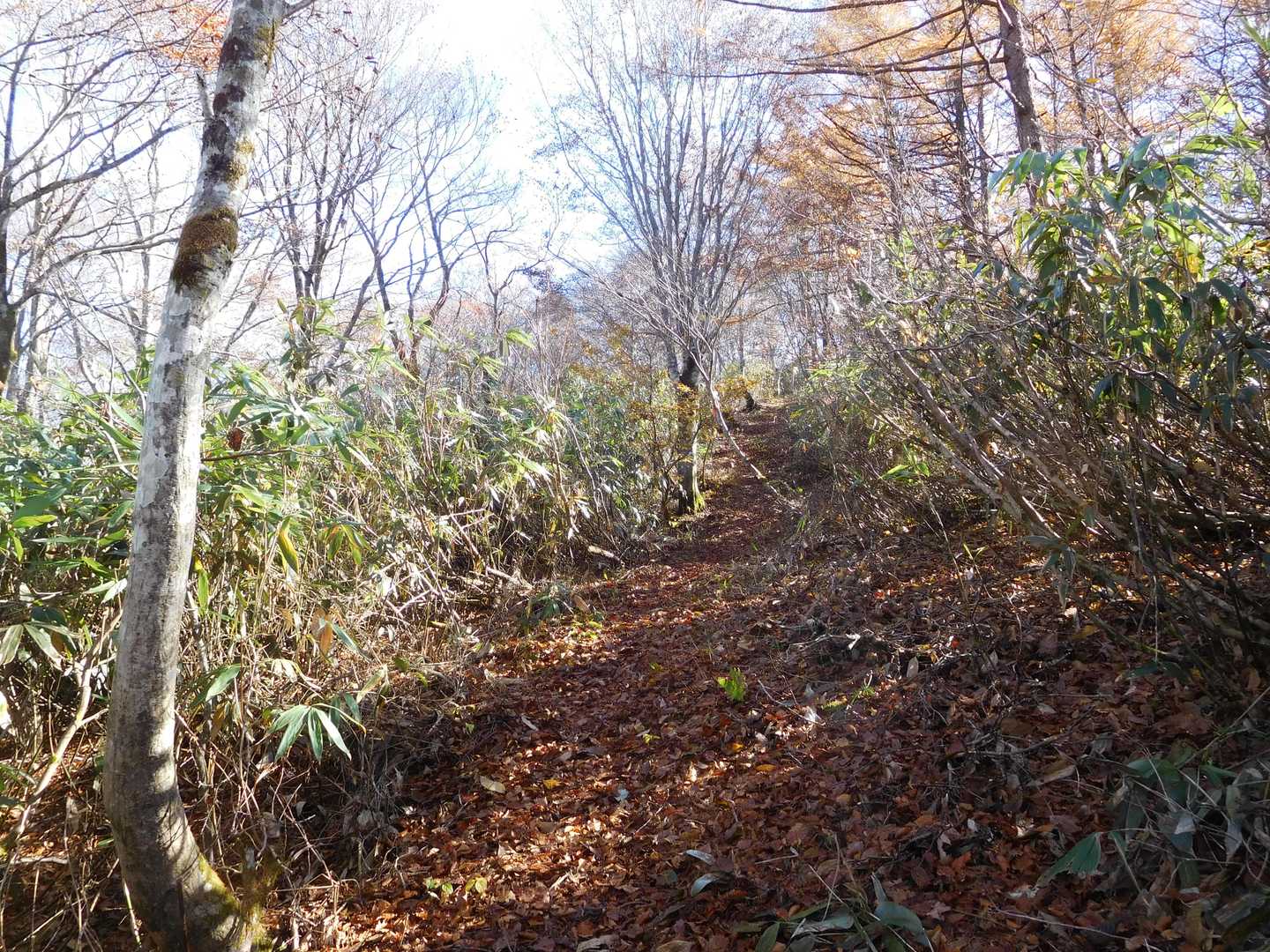 猪臥山散策道入口-猪臥山 周回コースの写真