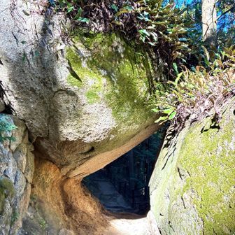 こんな石🪨の隙間を通ったり➡️