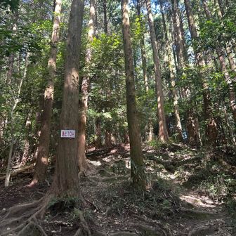 ‥あと10分かな？