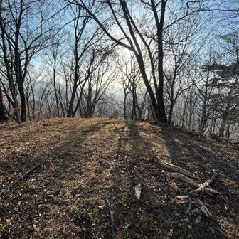 わりと広い山頂でした
さあ、日が落ちるまでにくだるよ〜
大蔵経寺山方面に行きたかったけど時間的にとても無理、進みそうになってた危ない
え！こっち？激下り(👉°-°)👉
スニーカー滑る💦
もうどこまでも滑っていく〜
よさげな枝拾って杖にするも頼りない💦