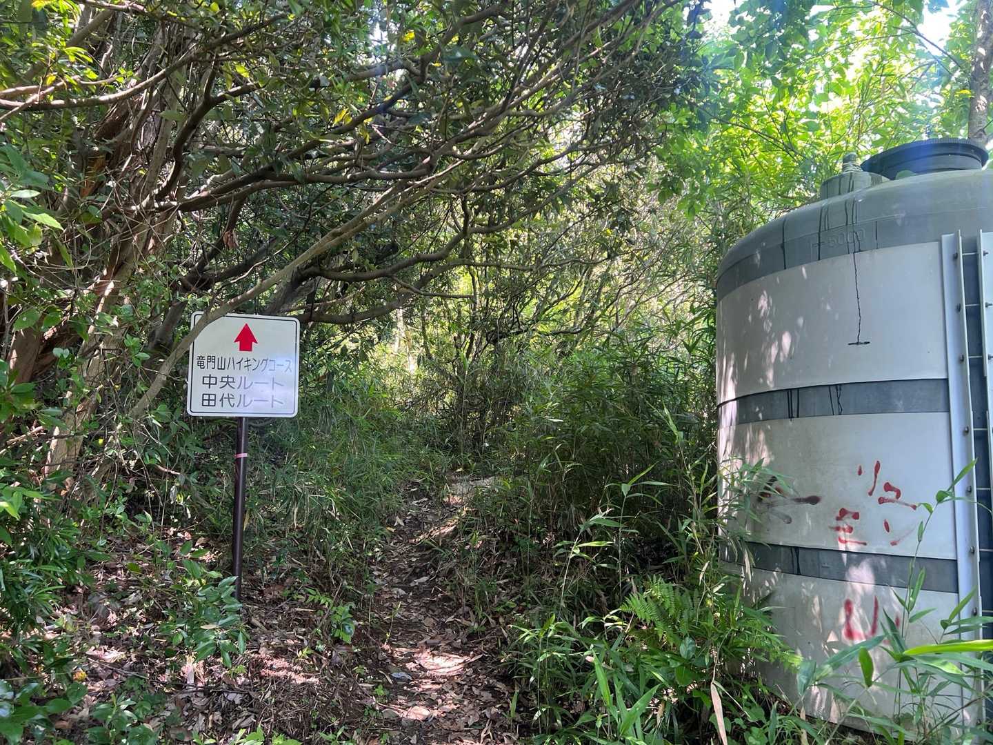 舗装路が終わり、山道に入りました。