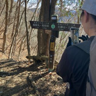 山ノ神
箱根駅伝では毎年現れる新山ノ神
駅伝🎽ならブレーキで遅れても他に速いメンバーがいれば青学みたいに挽回できるね。