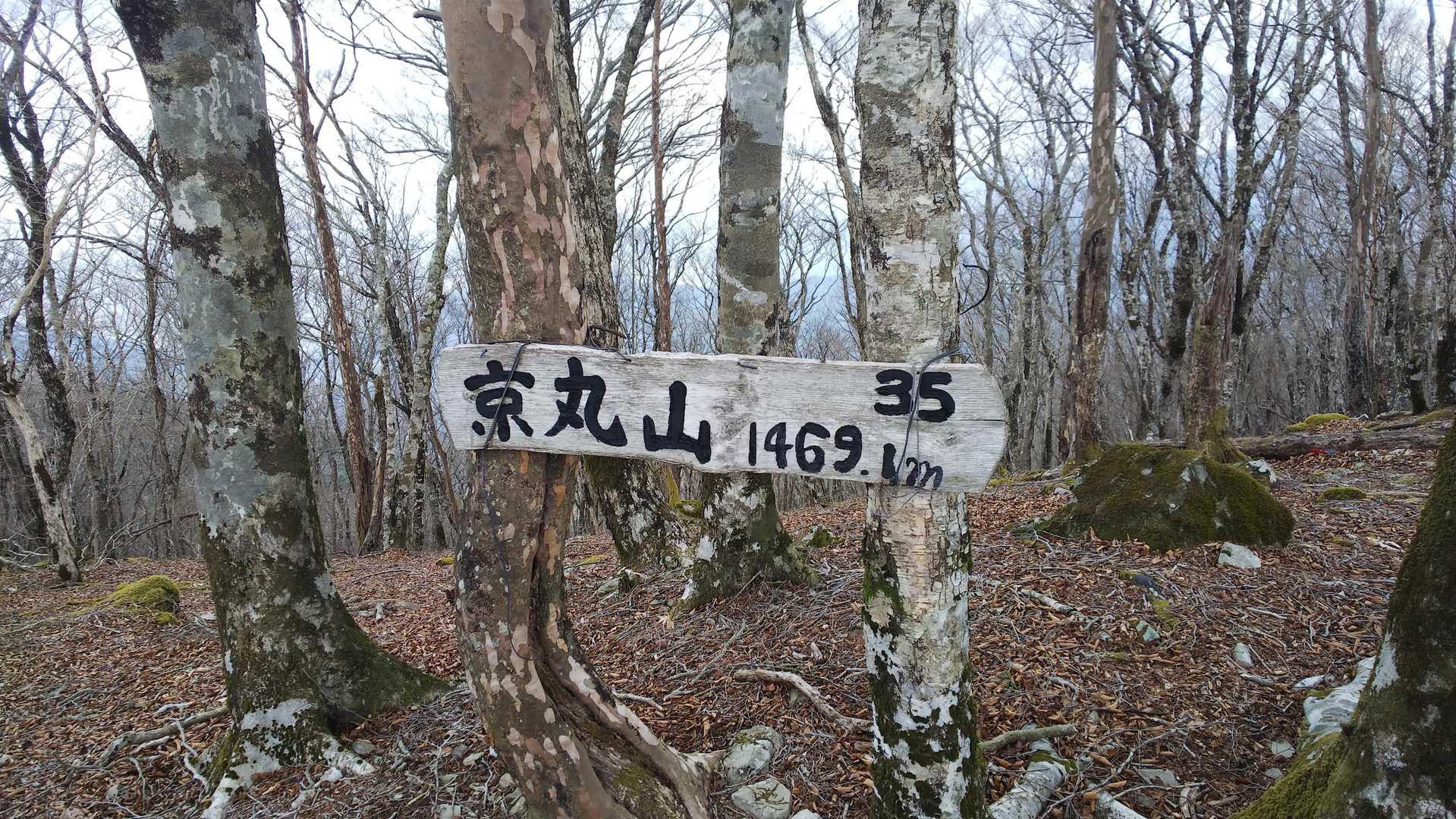 山頂到着。