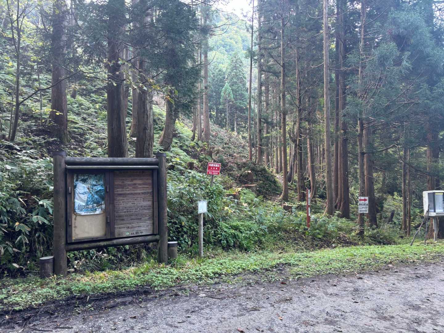 山形のお山は何処も綺麗に整備されています🙇
山への熱量が凄いです⛰️