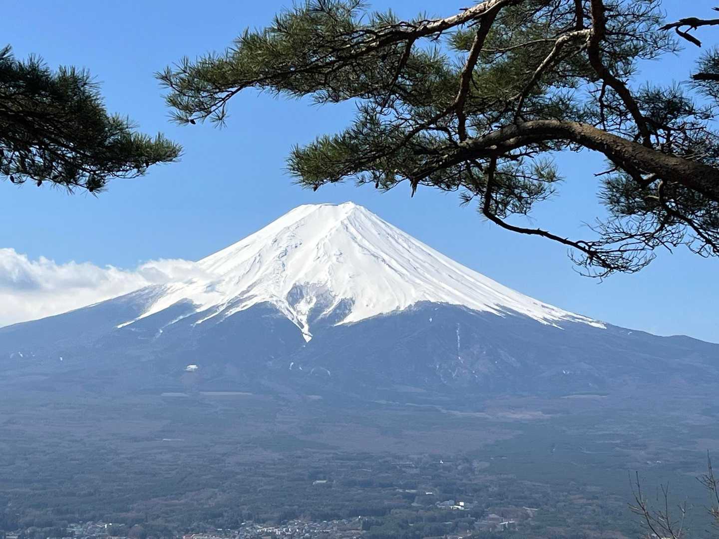 松と富士山✨ザ.日本🇯🇵