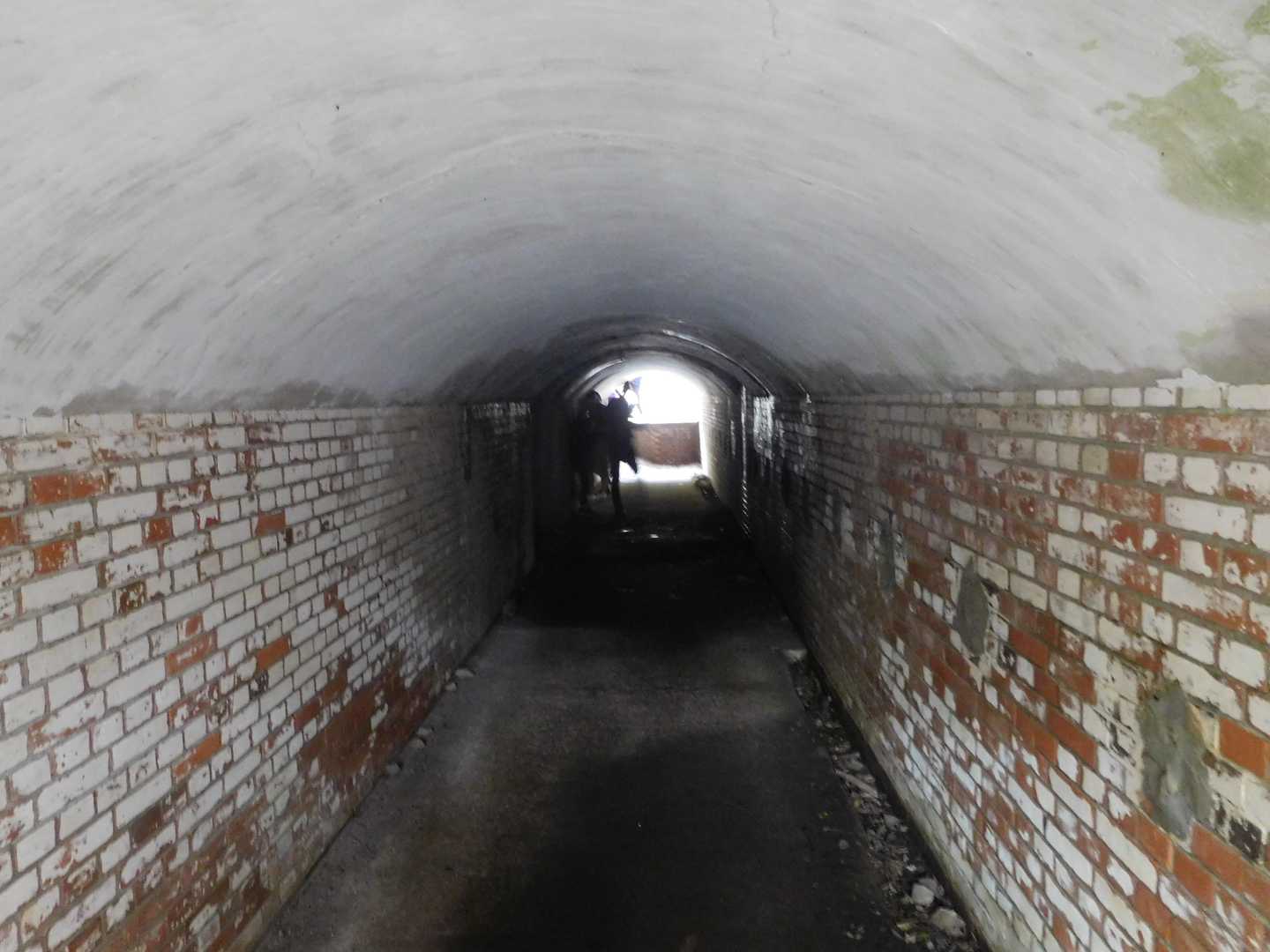 野奈浦桟橋-タカノス山-第3砲台跡 周回コースの写真