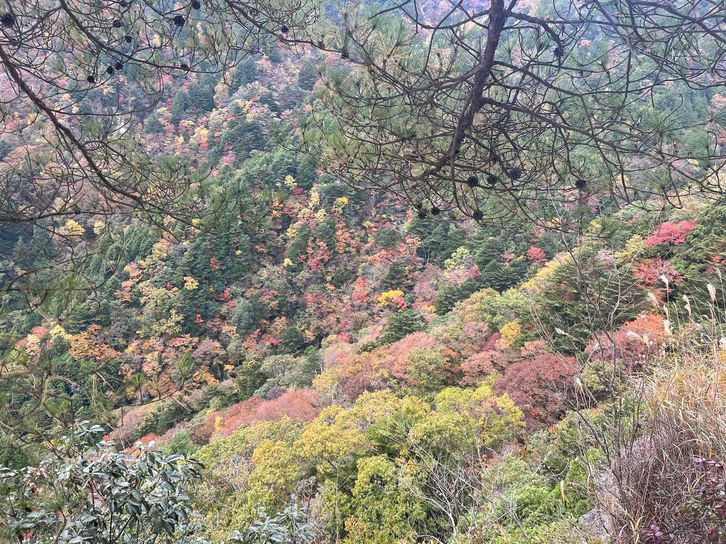 雪彦山登山口-大天井岳 周回コースの写真