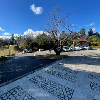 駐車場到着🅿️