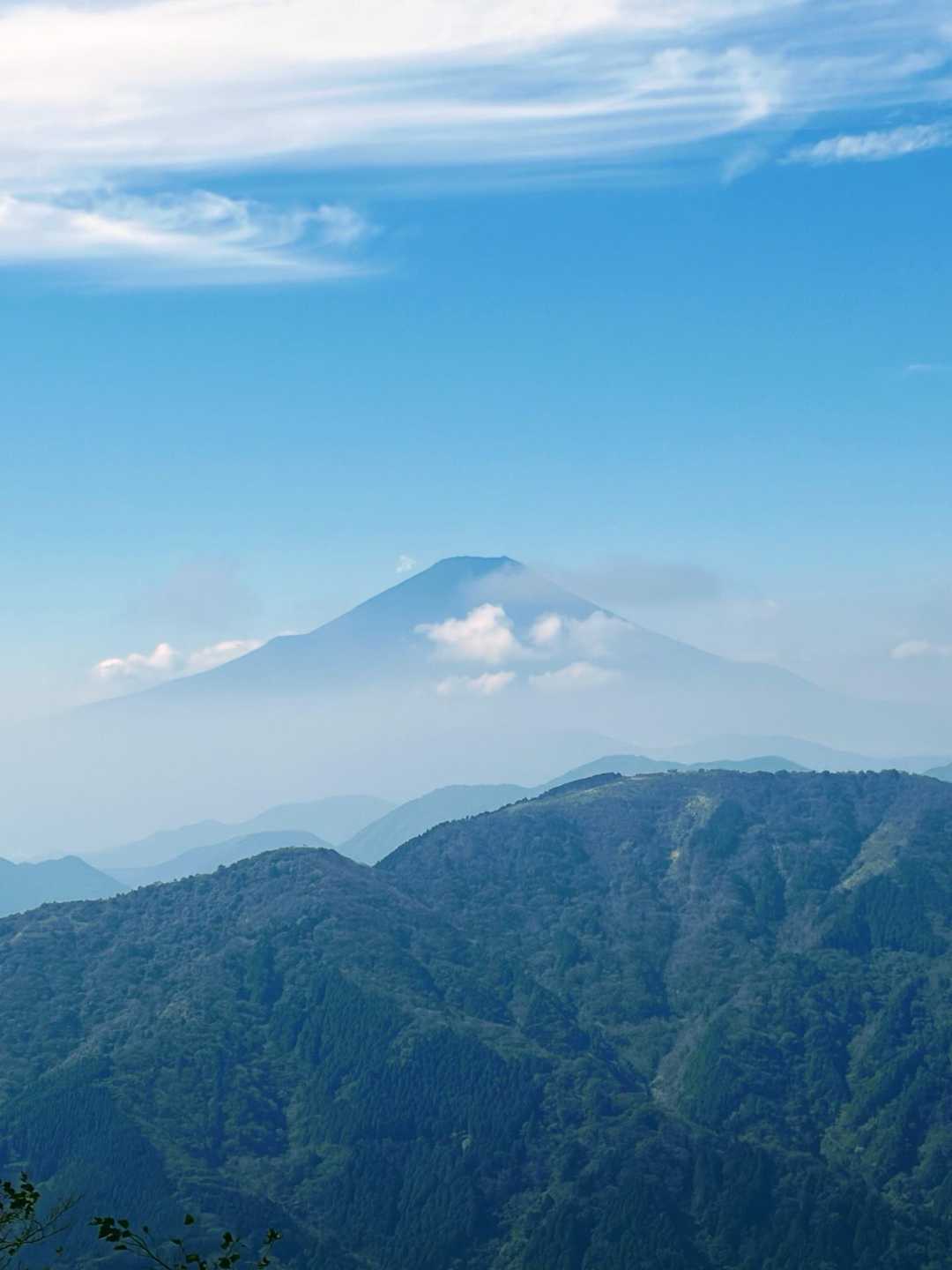 大山 / Kazukiの登山データ | YAMAP / ヤマップ