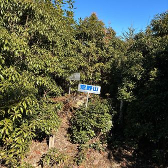 この周回で難儀はここから先やった😅下山ポイントは皆が行く方へ、林道段差です。少し傾斜つけて有る。掴まる木とて無い傾斜。日向神話街道から先の林道は壊滅的な崩落数カ所を渡るとか土壁よじ登るとさ？道塞がれてからは皆さん林道使ってる様ですが面倒なので崩落地の岩場を伝い降りる。バカみたいだし危ないけど楽しい、まあI回やれば2度は遠慮したいが全身使って楽しませて頂きました。今日も有難うございました。