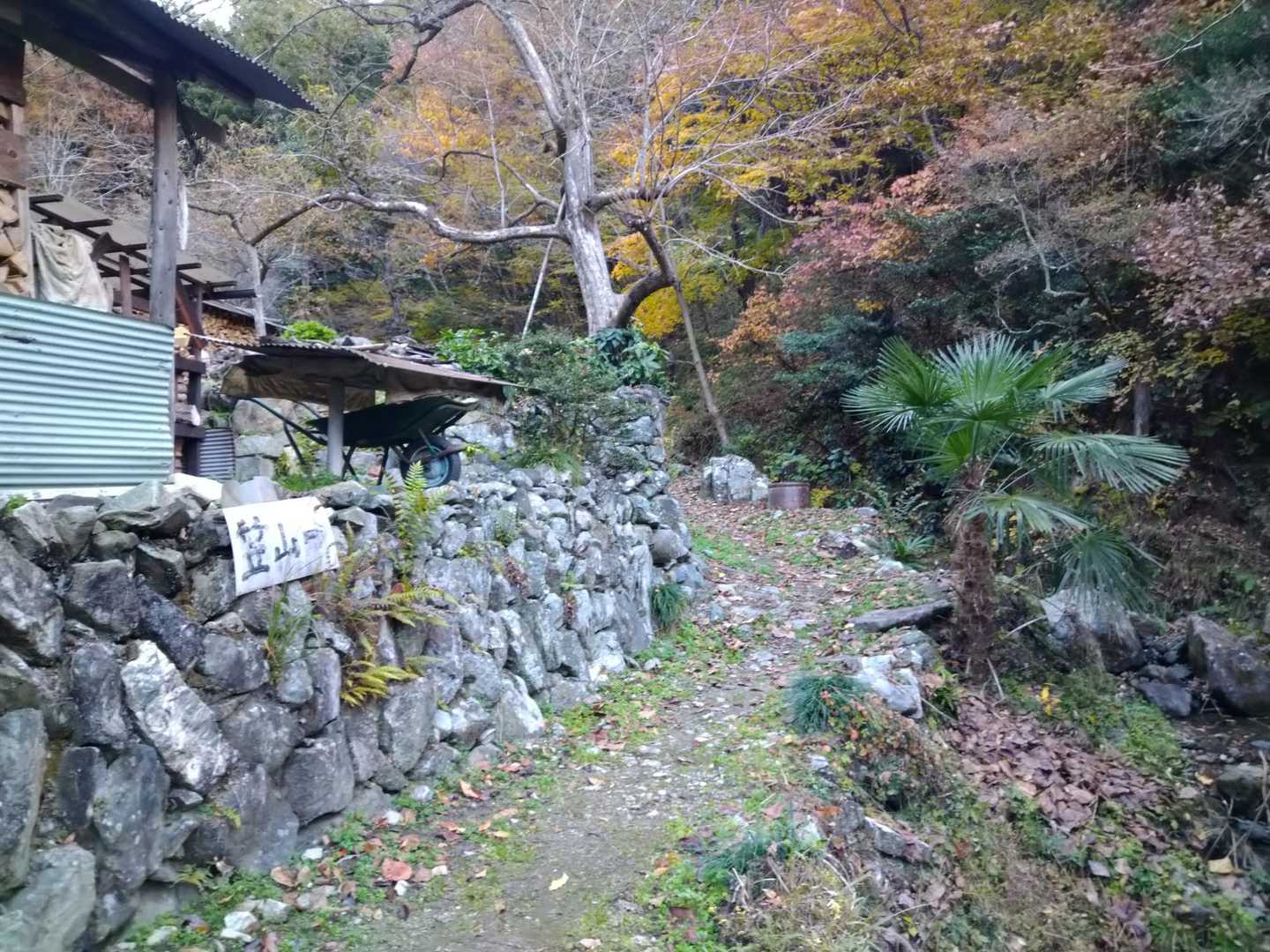 行きます。