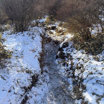 これはチェンスパ必須ですね⛓️