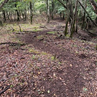 下りは歩きやすいルートで