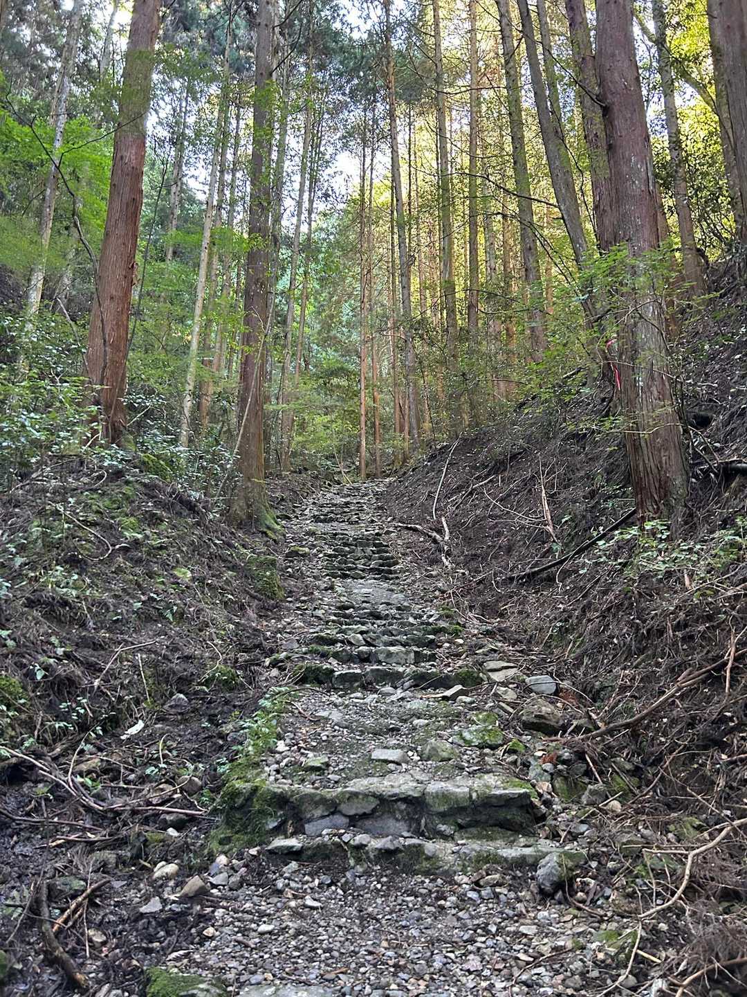 岩湧寺-いわわきの道・きゅうざかの道入口-岩湧山 周回コースの写真