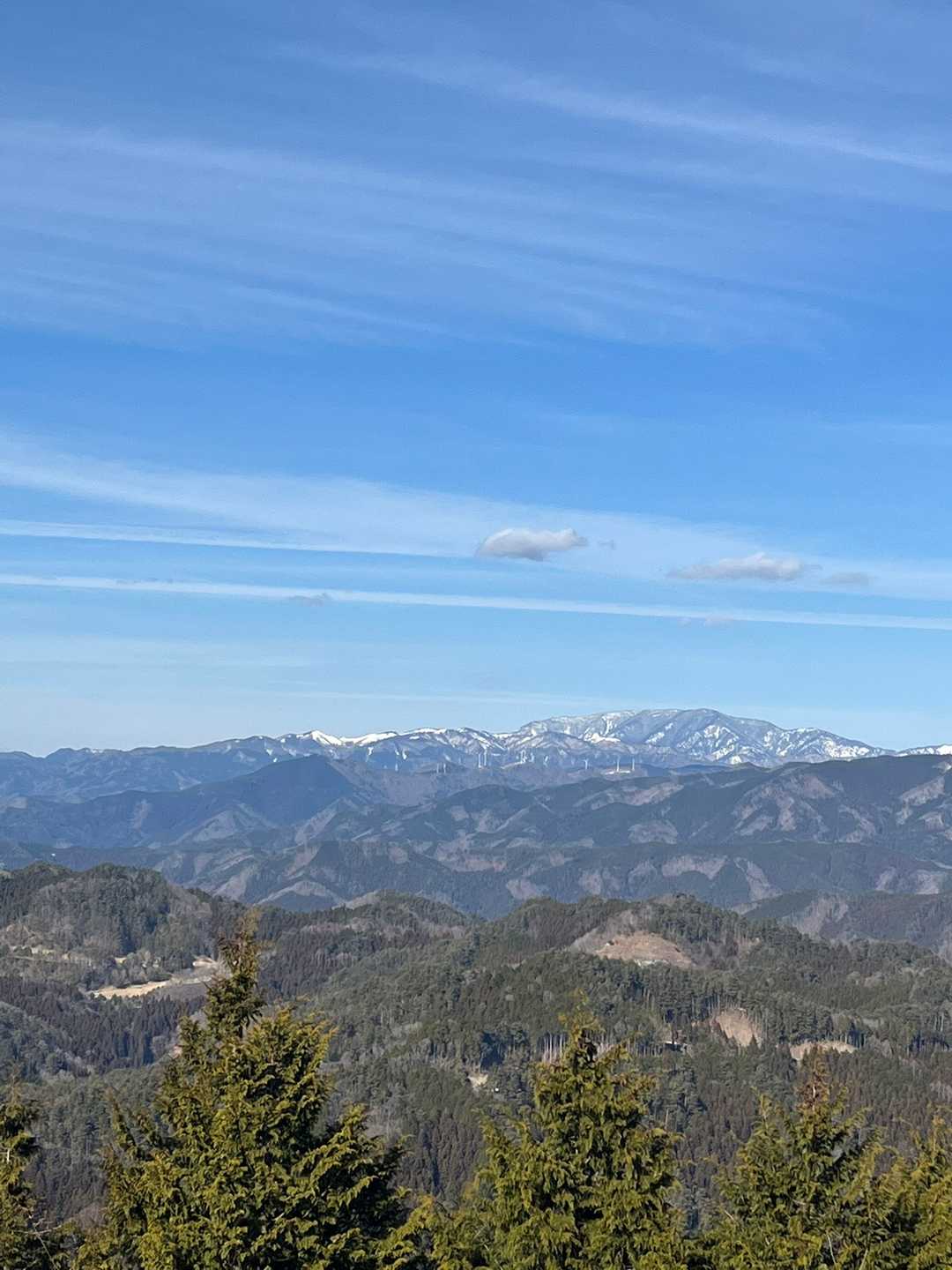 夏焼城ヶ山の写真