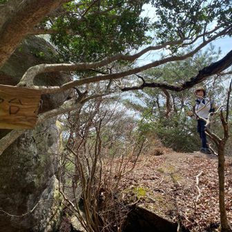 展望台とかあったんだ！下りで発見