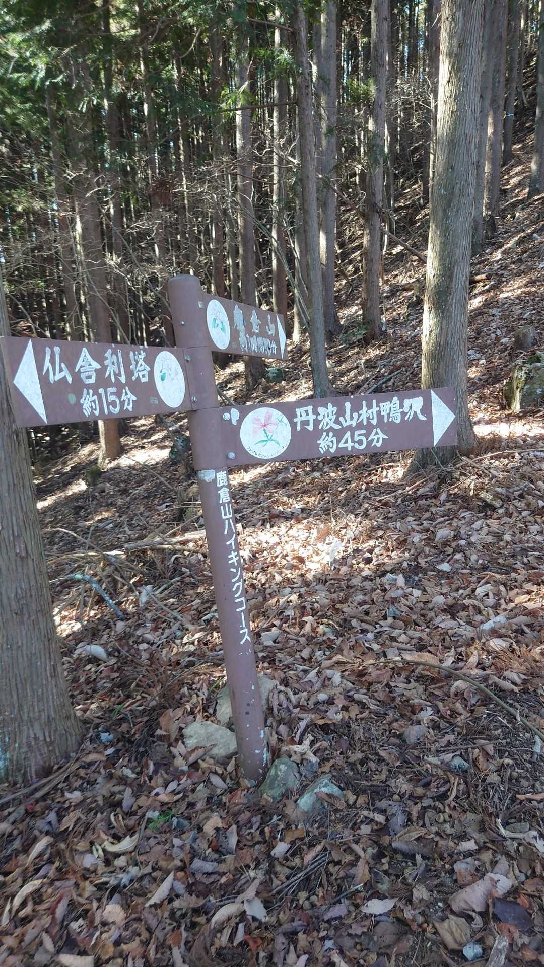 分岐。ここからエスケープも出来るようです。