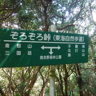 ゾロゾロ峠　今回は時間無く下山する