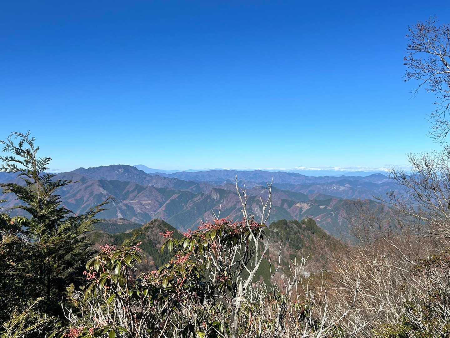そして、ここからの景色がヤバすぎた❗️北アルプスまで見える👀