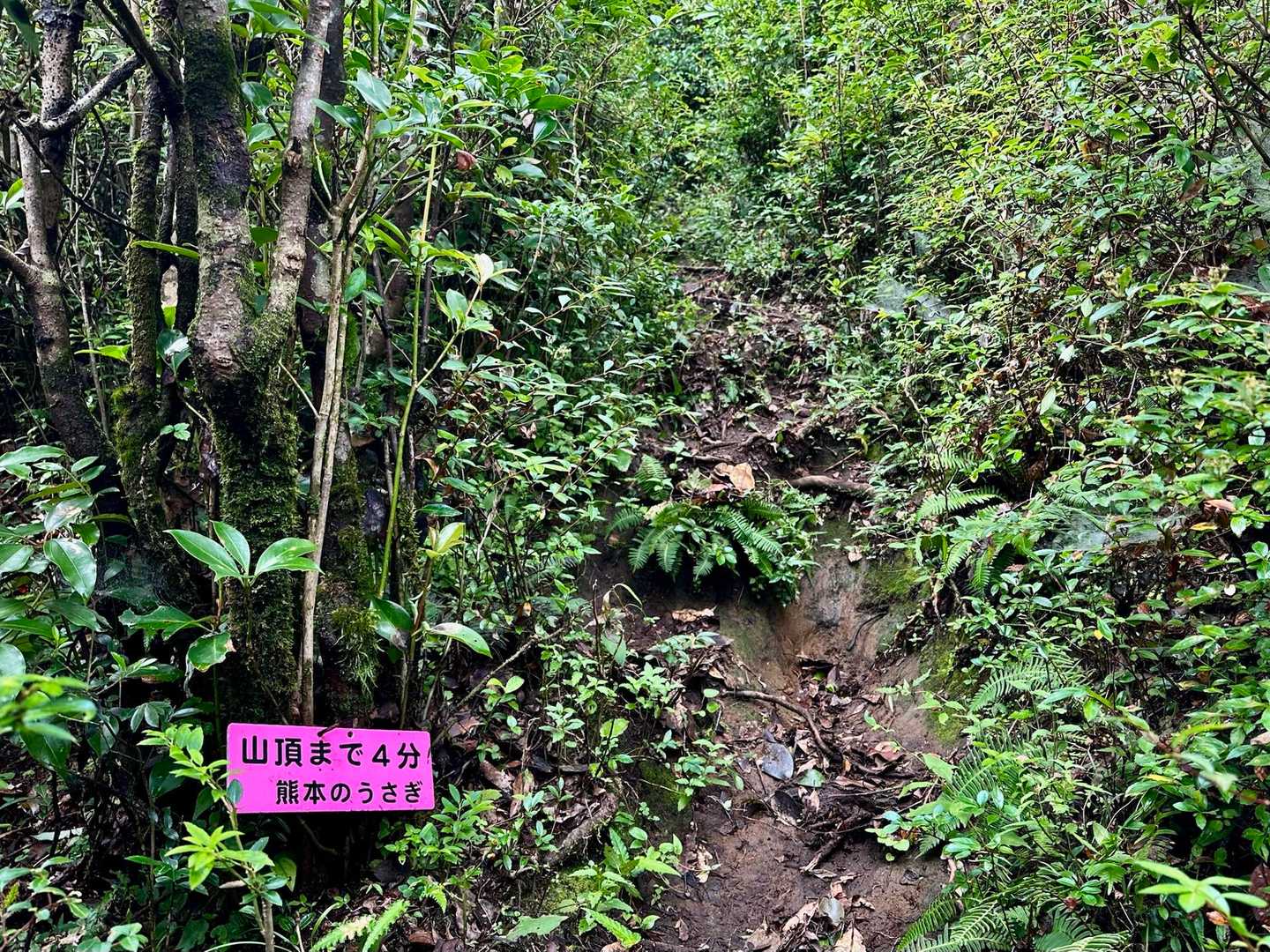 登山道は滑りやすいので注意です