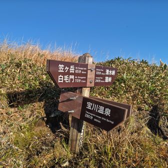 水場は出てないようです