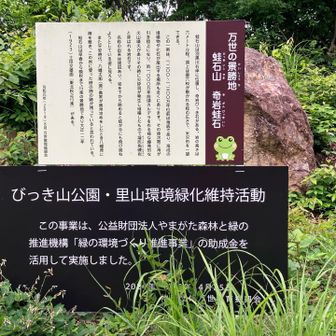 昼飯には　早いので　蛙石山（びっきいしやま）へ