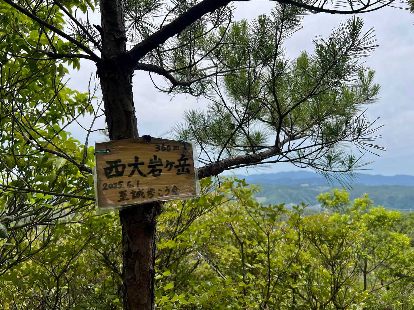 太陽と緑の道・千苅大岩岳コースの写真