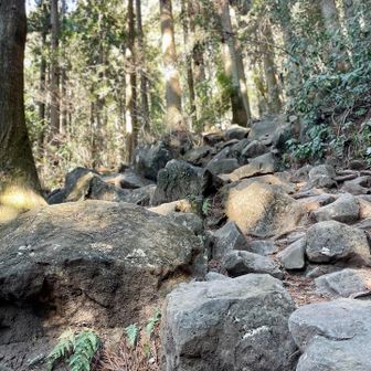 日本一低い百名山とはいえ、結構登り甲斐があります...⛰️