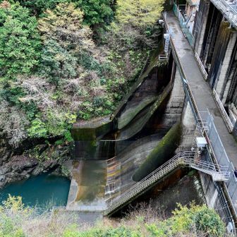 少し車道をあるくと白丸ダムに到着